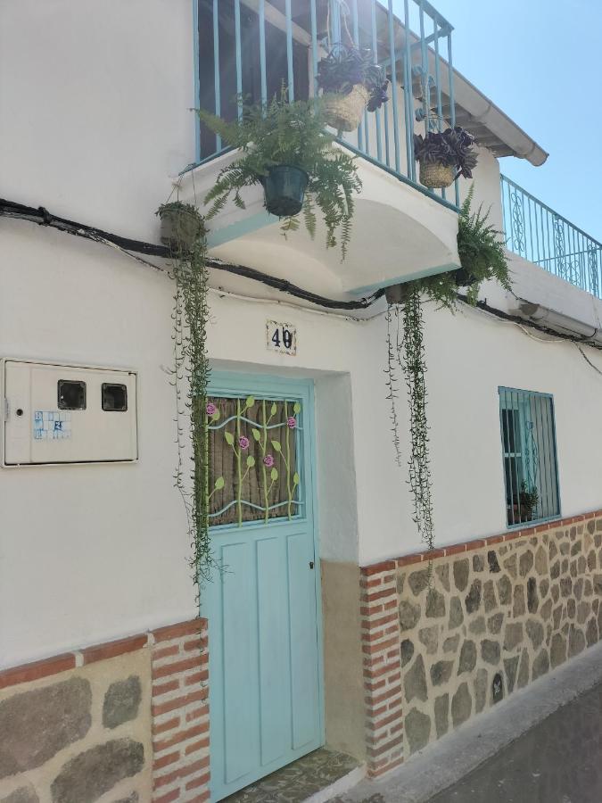 La Casa De Tio Vidal Villa Pedro Bernardo Dış mekan fotoğraf